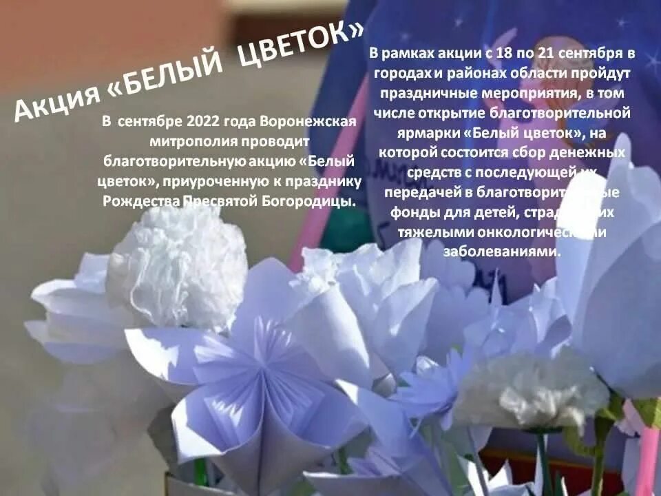 Благодарность белый цветок. Самый белый цветок nemiga. Самый белый цветок nemiga. Белые цветы. Nemiga альбом.