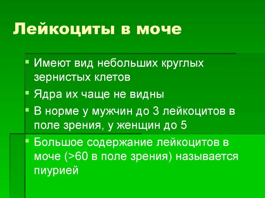 Лейкоциты в моче 50 у мужчины. Показатели лейкоцитов в моче норма. Норма лейкоцитов в моче у же. Норма лейкоцитов в моче у женщин. Лейкоциты в моче у женщин.