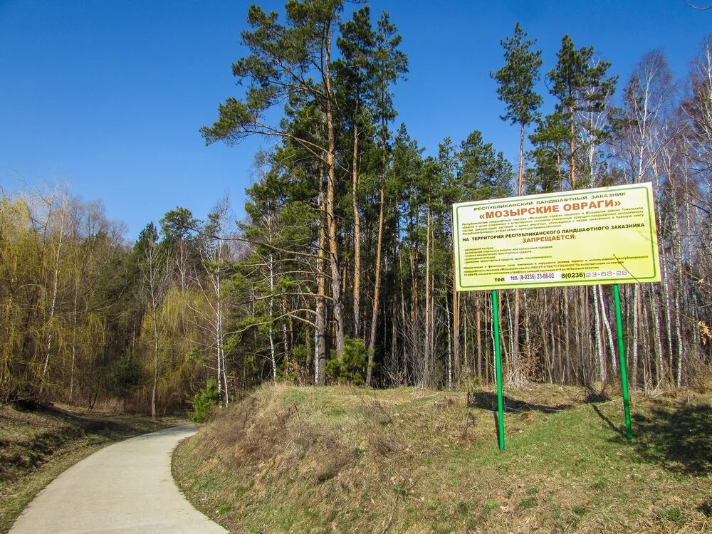 Купить участок в гомельском. Заповедник Мозырские овраги. Мозырский заказник. Мозырский район природа. Заказник Мозырские Яры.