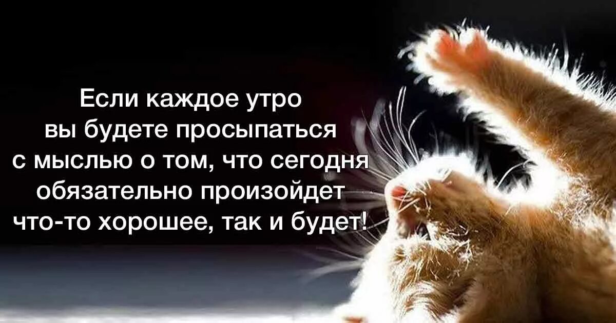 Думать с утра о бывшем