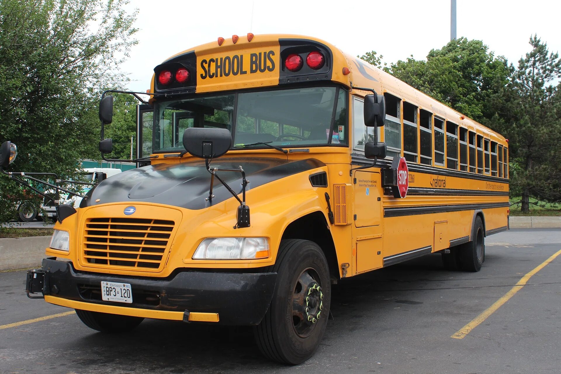 Школьный автобус США. Школа Америка автобус. Школьный автобус в Канаде. Американский школьный автобус в России.
