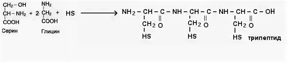 Напишите реакцию глицина. Уравнение реакции образования трипептида из глицина. Трипептида аланин-глицин-Валин. Глицин аланин серин трипептид. Структурная формула трипептида аланил-цистеин-глицин.