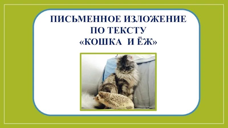 Текст кошка и еж. Изложение про кошку. изложение котенок. изложение кошка и еж. кошка и ёж изложение 3 класс.