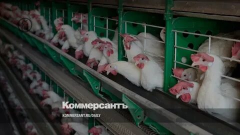 Саратовская птицефабрика