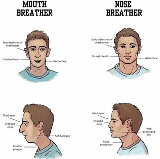 mouth breathing face fix - vietpetfoods.com.