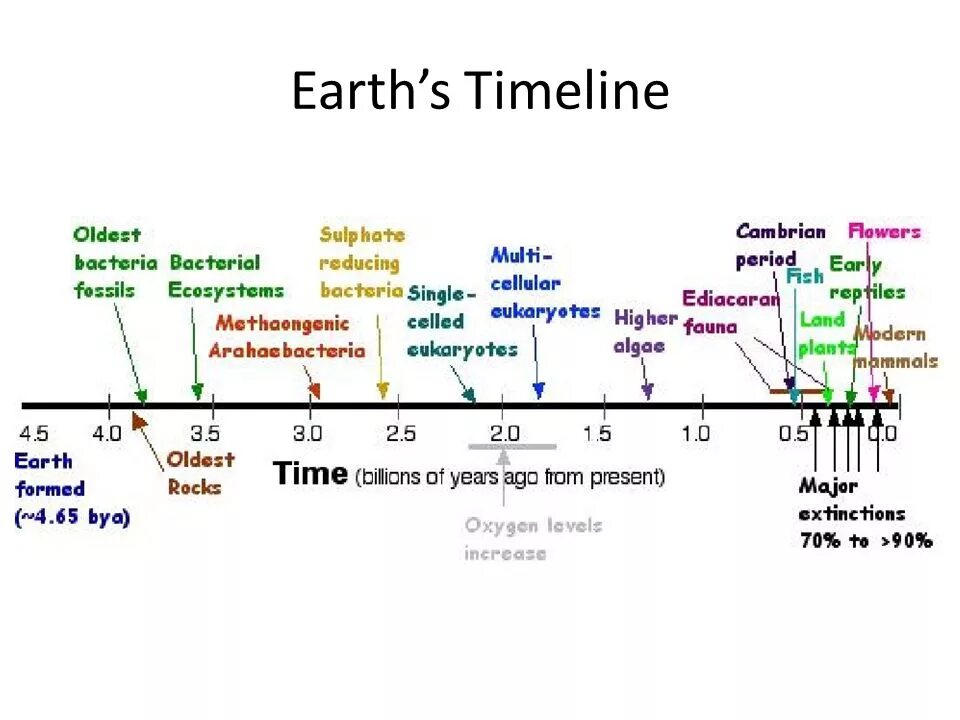 Таймлайн на уроках литературы. Timeline of Earth. Timeline History. History of Earth.