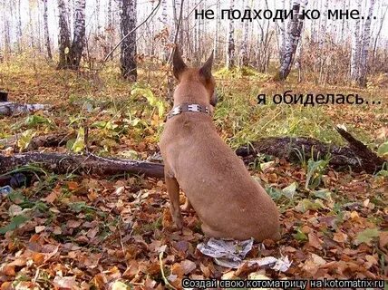 Не подходи ко мне