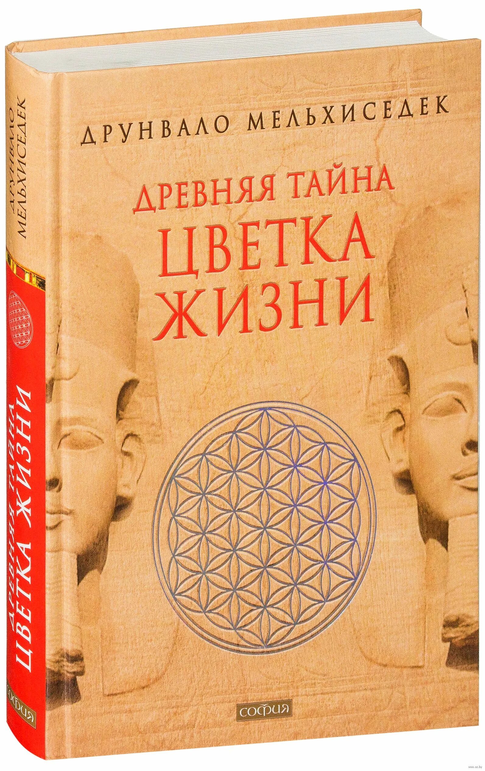 Тайны цветка жизни друнвало мельхиседек. Цветок жизни книга Мельхиседек Друнвало. Мельхиседек древняя тайна цветка жизни. Книга тайна цветка жизни Мельхиседек. Древняя тайна цветка жизни: том 2 Друнвало Мельхиседек книга.