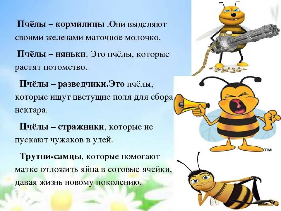 Текст про пчел. Интересное о пчелах для детей. Пчела для детей. Факты о пчелах для детей. Интересные факты о пчелах.