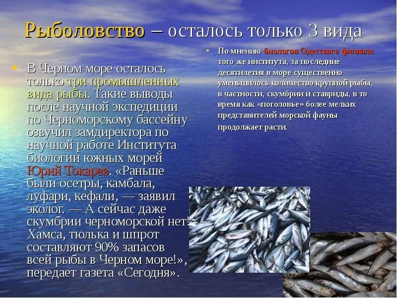 Минтаевый картель. Проблема рыболовства. Аральское море рыба. Охрана рыбных ресурсов. Массовый отлов рыбы.