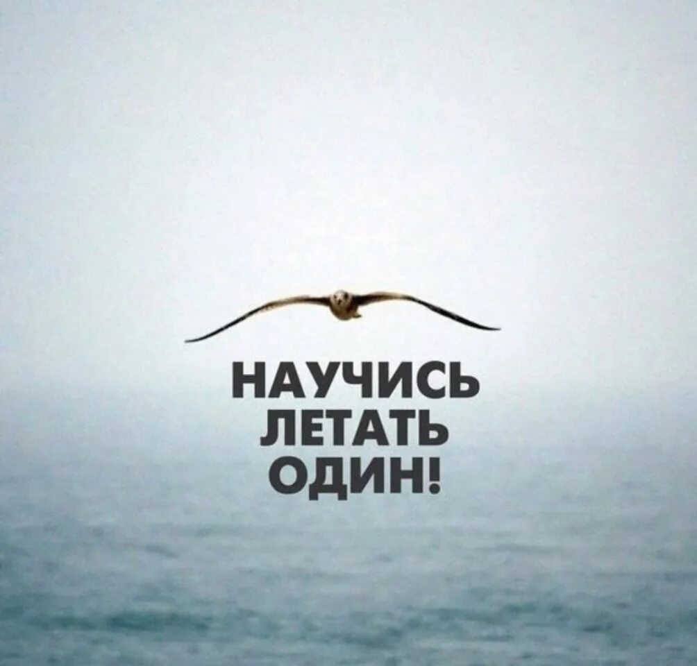 икар бог древней греции. свобода полет. научись летать один. отпустить человека. найдется и кто то научит летать.