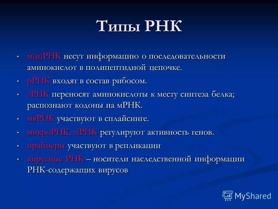 Разные виды рнк. Функции различных типов рнк. функции разных типов рнк таблица. функции и строение различных типов рнк. типы рнк, их структура и функции.