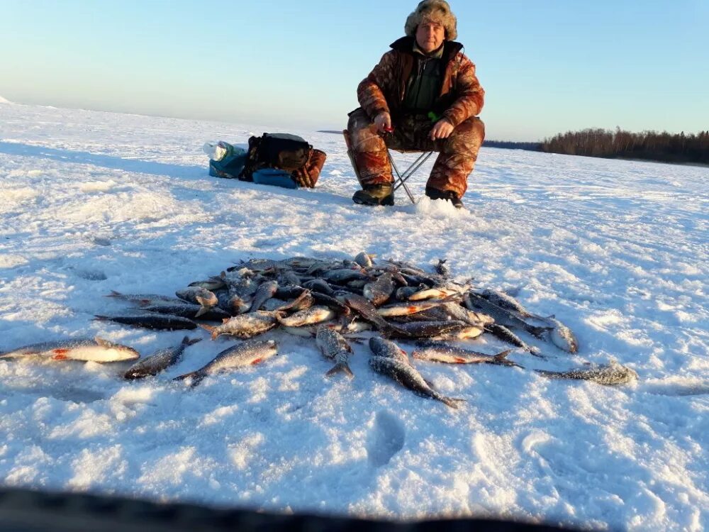 Леднево Ладожское озеро. Зимняя рыбалка на Ладоге. Зимняя рыбалка на Ладожском озере. Рыбаки Ладога зимой.