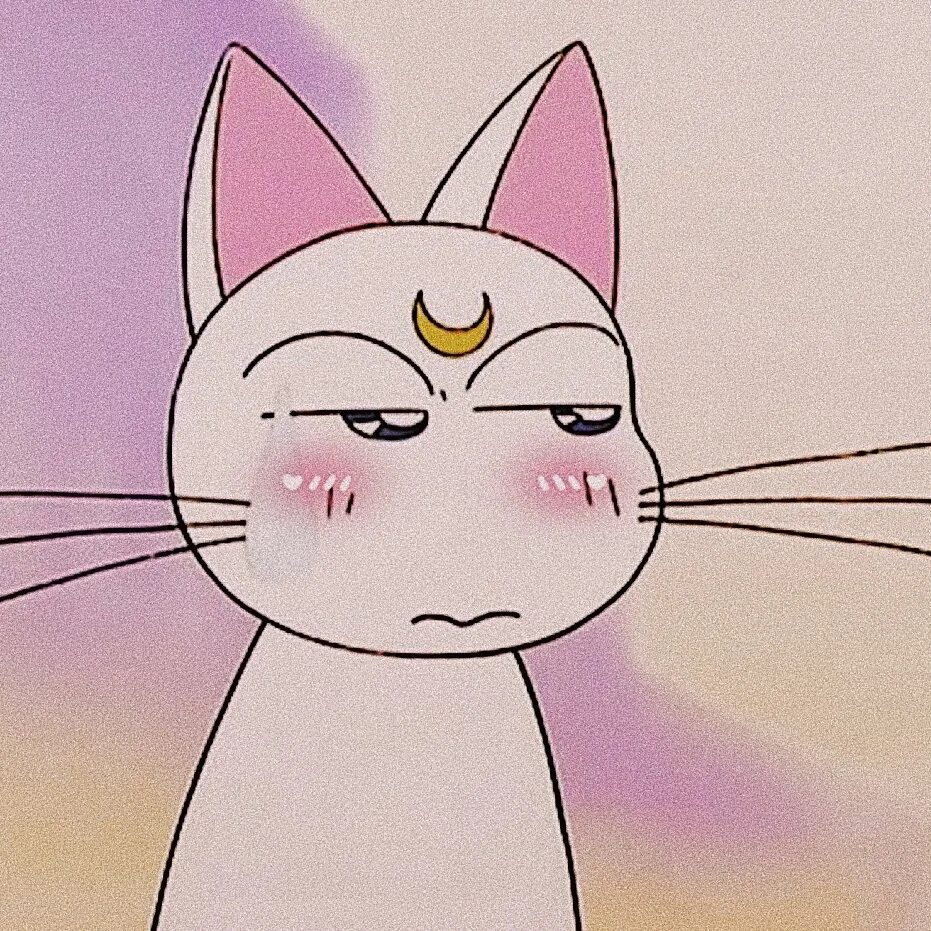 Артемис сейлормун кошка. Кот Артемис из сейлормун. Сейлормун кошка Луна. Sailor Moon Артемис кошка. Кошка муна
