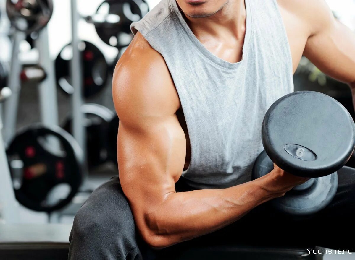 Тренировки на рельеф