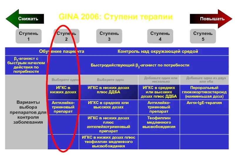 1 3 ступень. Ступени Gina. Первая и вторая ступень базисной терапии. IV ступень терапии. Gina 2019 ступени.