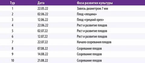 Электронная таблица кальция