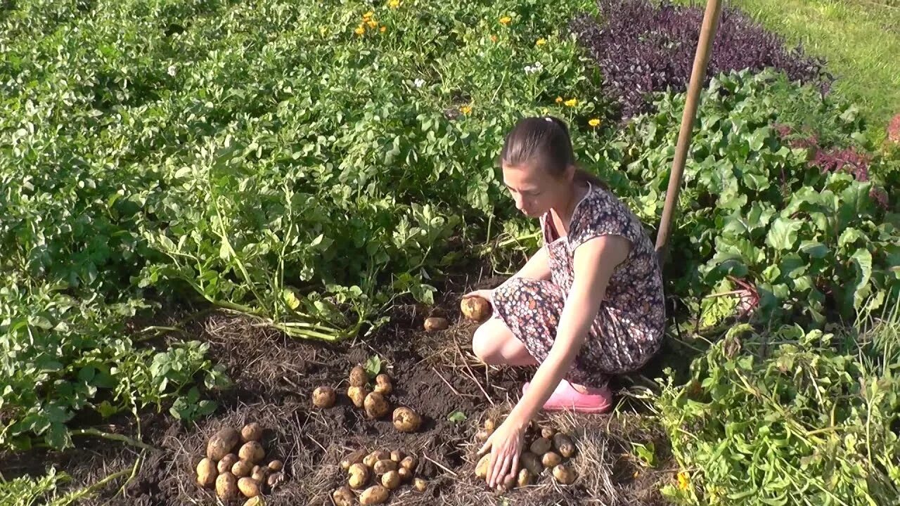 Начало природного земледелия