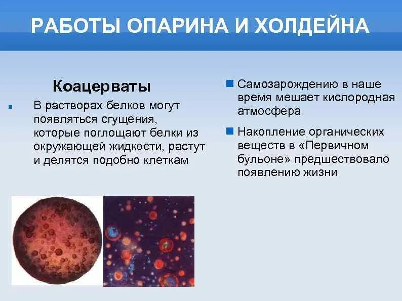 Коацерватная гипотеза. Опарин коацерваты. Коацерватная теория Опарина. Коацерватная теория возникновения жизни.