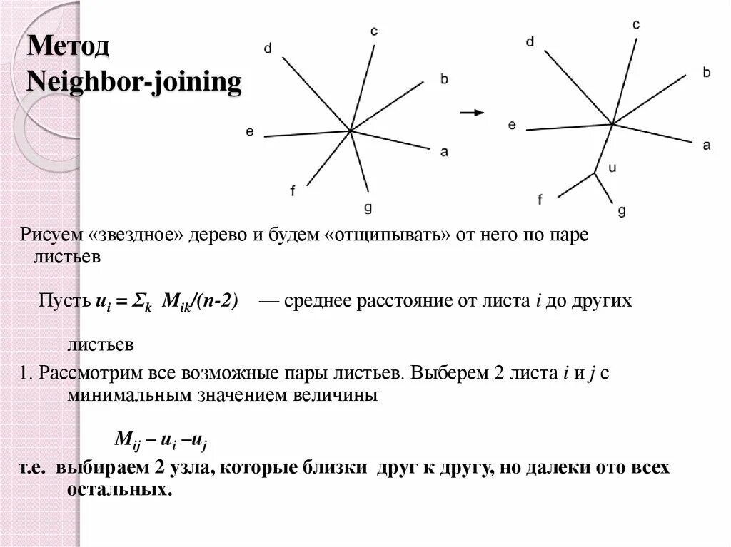 Номер ближайшего соседа. Метод Neighbor-joining. Neighbour joining метод. Алгоритм ближайшего соседа. Метод ближайших соседей.