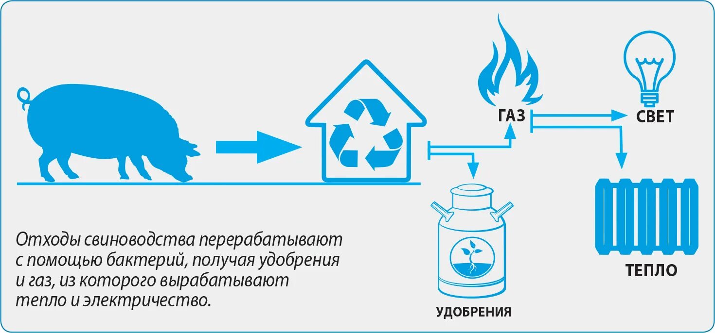 Биогаз схема переработки. Схема переработки навоза в удобрение. Технология производства биогаза схема. Биореактор газа из навоза. Метан в сельском хозяйстве