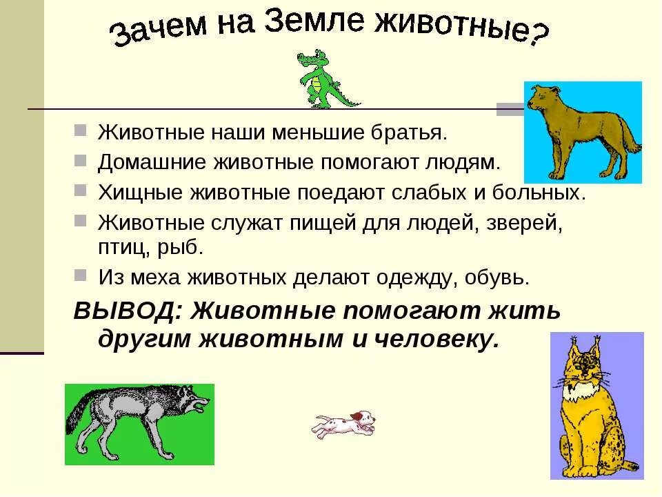 Почему животным необходимо