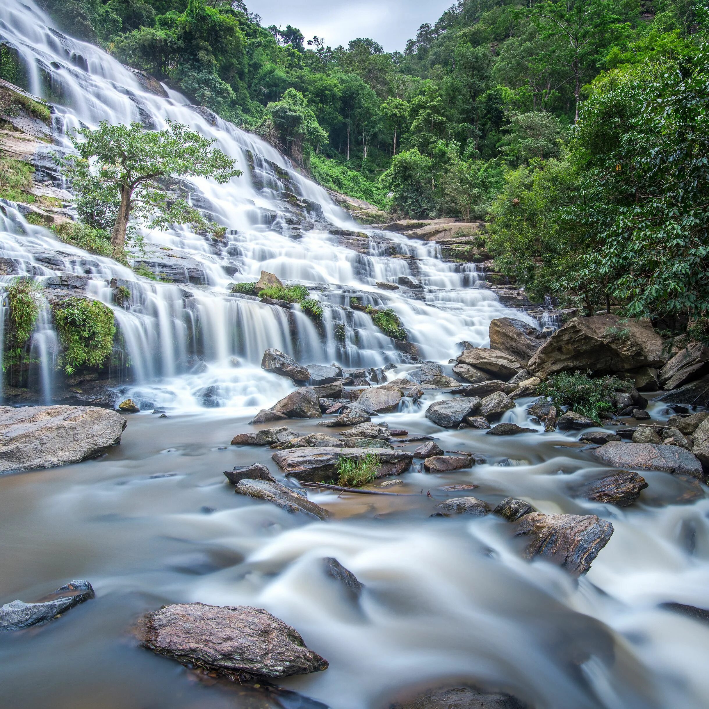 La nature du malisia. La natural