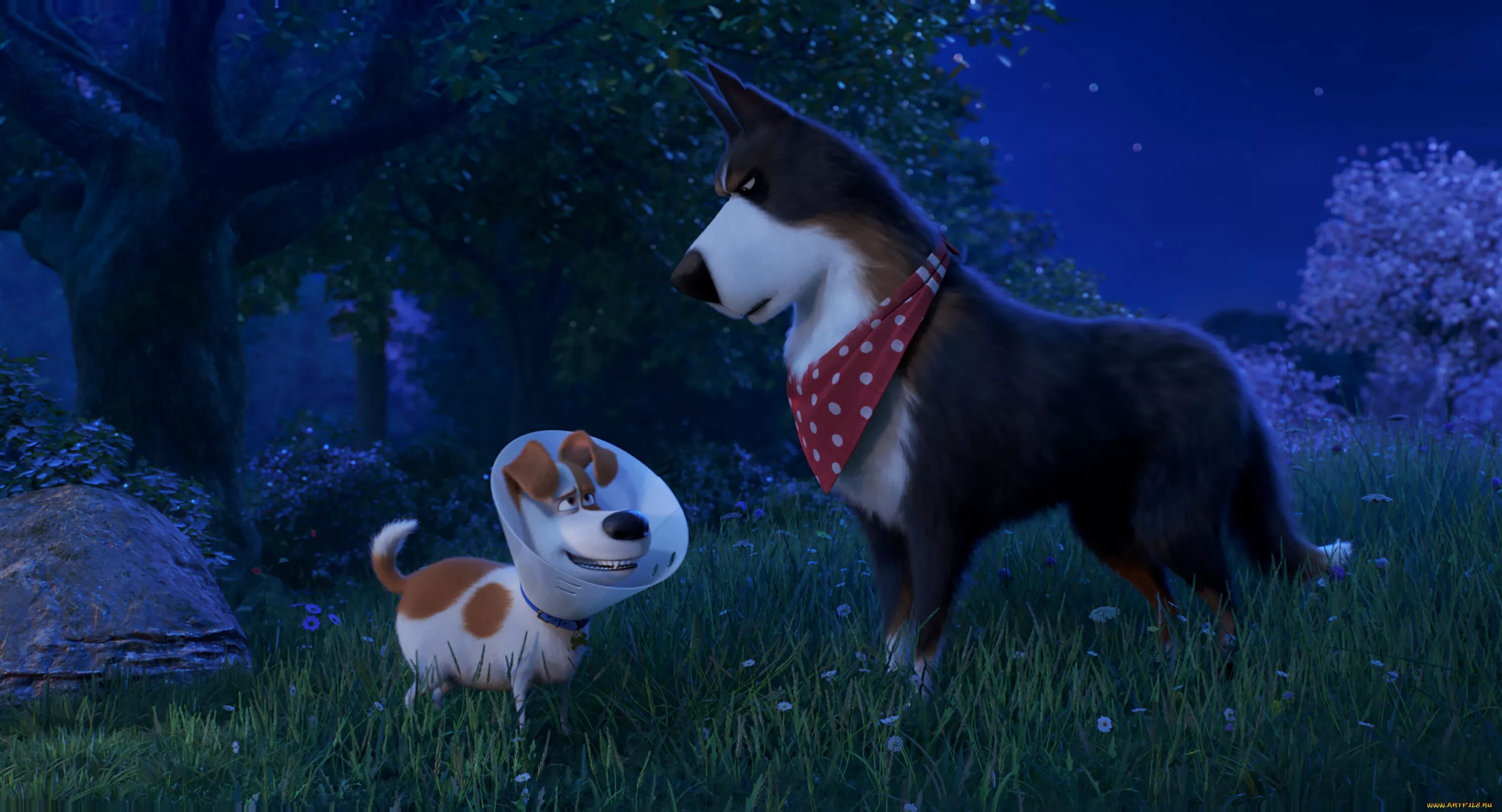 Pets 2 watch. Мультфильм тайная жизнь животных 2. Pets 2 watch. Тайная жизнь домашних животных 2 рустер. Мультфильм тайная жизнь домашних животных 1.