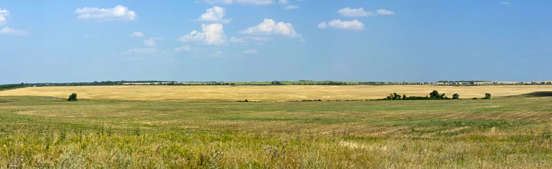 Степная зона саратовской области растительность. Степь забайкальский край. Чубовская степь. Саратов степи. Лесостепь забайкалья.