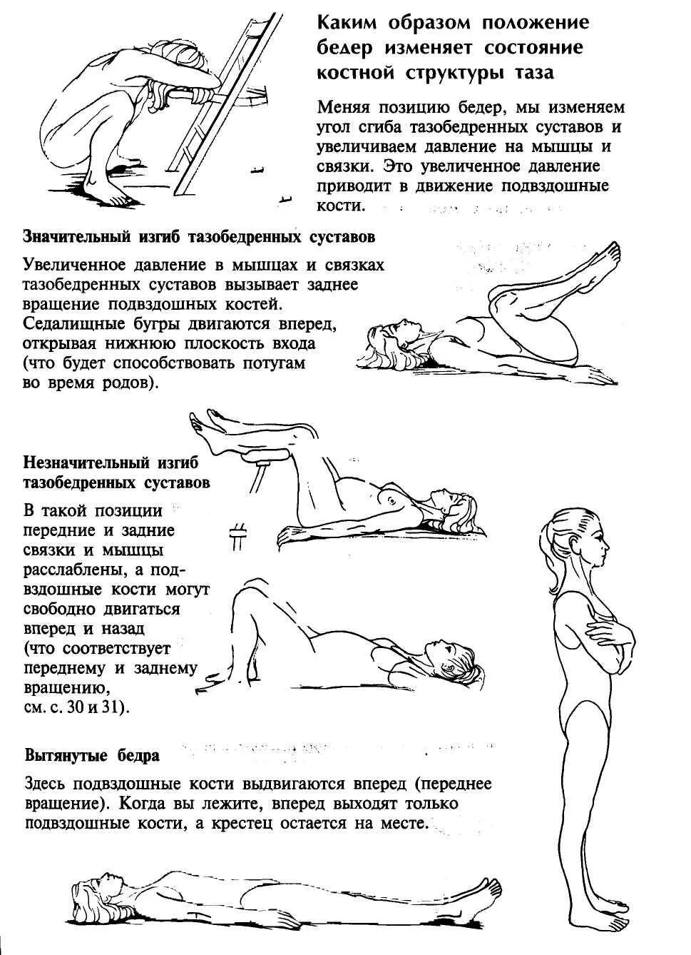 Накачали матку. Упражнения кегеля для укрепления мышц тазового дна. Упражнения кегеля для укрепления мышц малого таза. Комплекс упражнений для укрепления мышц малого таза у женщин. Упражнений кегеля для укрепления мышц таза у женщин.