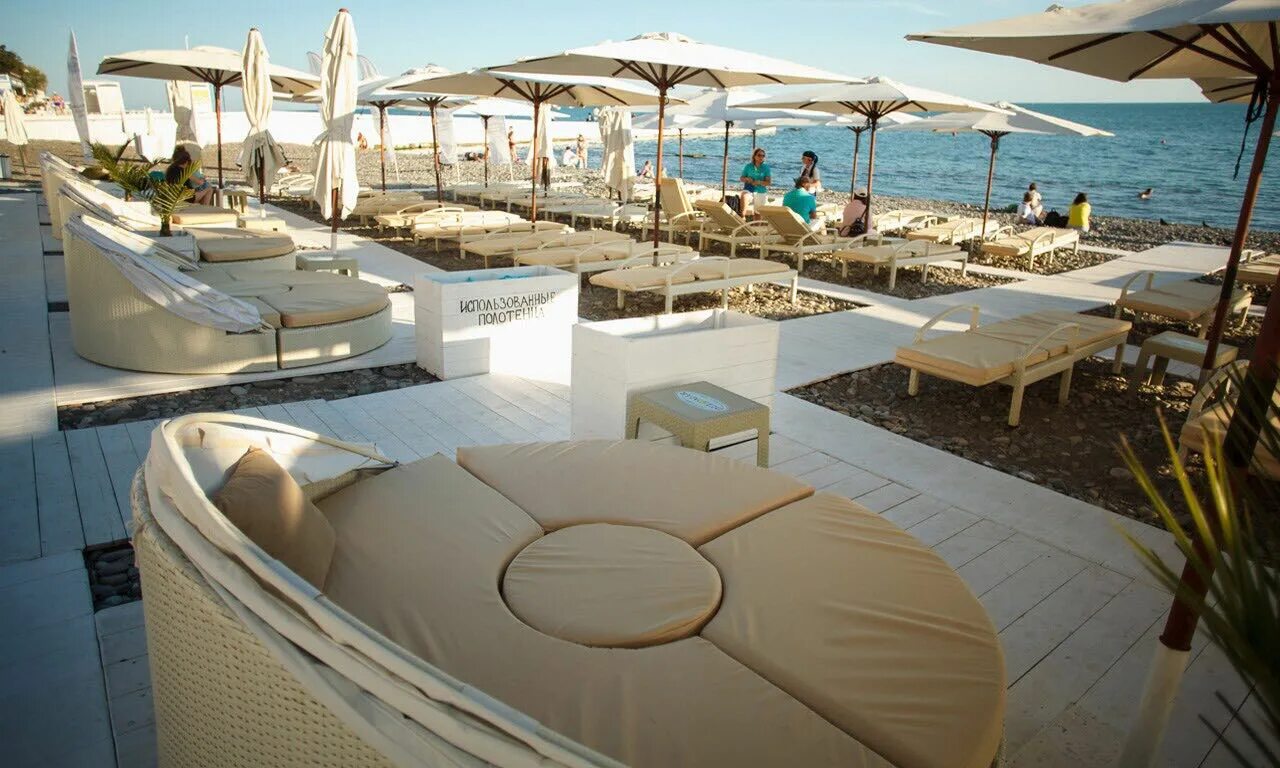 Delmar Beach Club Сочи. Пляж Дельмар Бич Сочи. Beach club цена