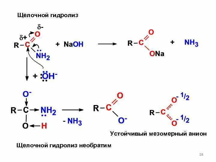 Водный и щелочной гидролиз. ЦАМФ щелочной гидролиз. Гидролиз карбонильных соединений. Щелочной гидролиз изопропилформиата. Гидролиз органических соединений.