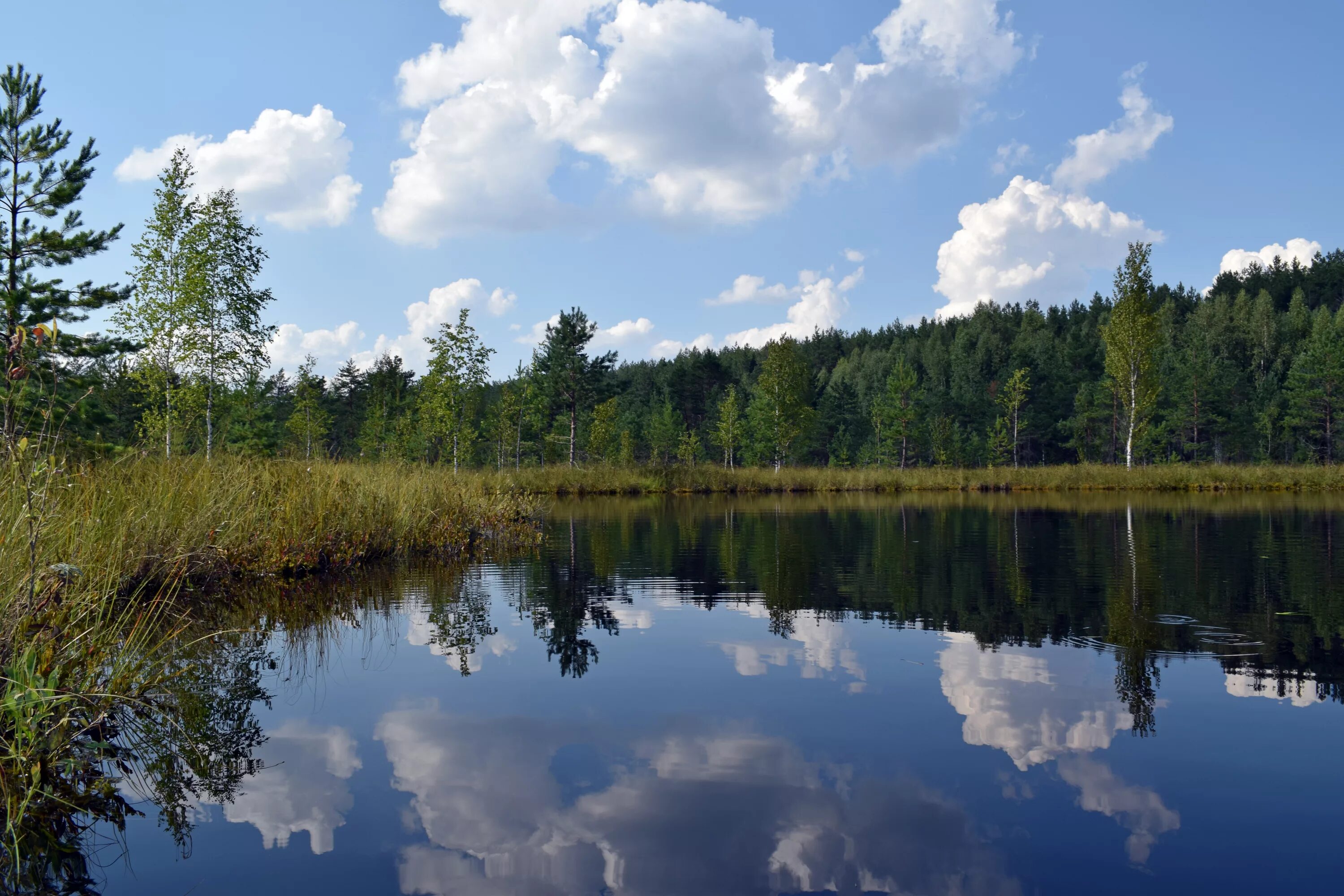 Храм гурия петьялы. Волжский р н марий эл. Природа волжского района марий эл. Марий эл волжский район д малое иваново. Деревня часовенная марий эл.