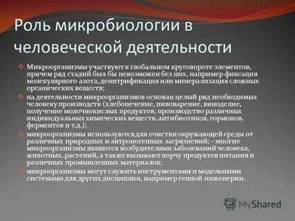 Темы по микробиологии