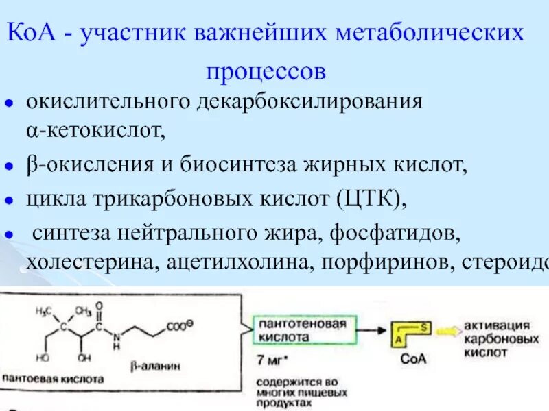 Строение коэнзима а. Структура и функции коферментов. Декарбоксилирование кетокислот. Кофермент а строение.