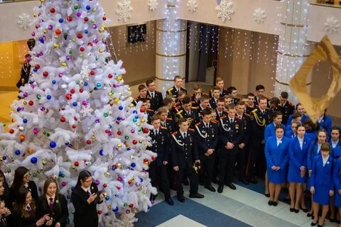Губернаторская елка 2023 спб для школьников