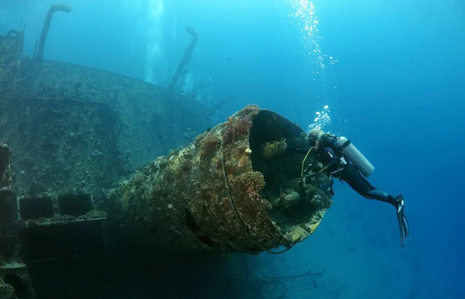дайвинг в египте. рэк в красном море. перебиты кабели в красном море. дахаб египет голубая дыра. Giannis d корабль под водой.
