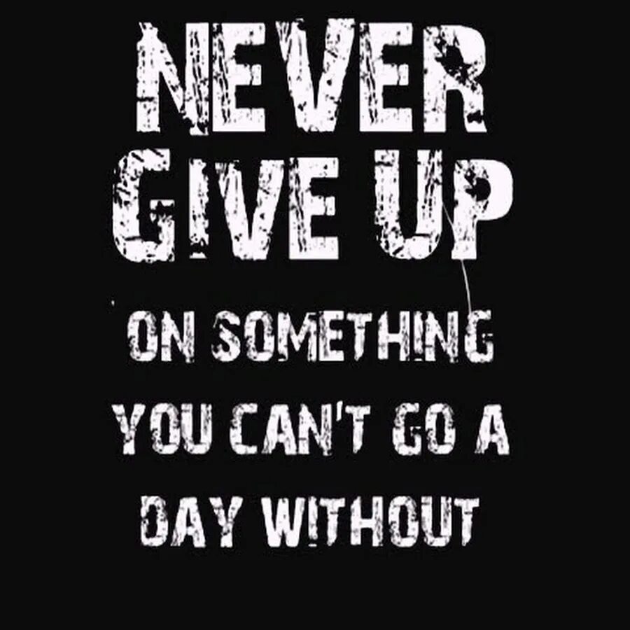 Never live up. Never give up. Never give up фото. Never give up обои. Never never never give up.