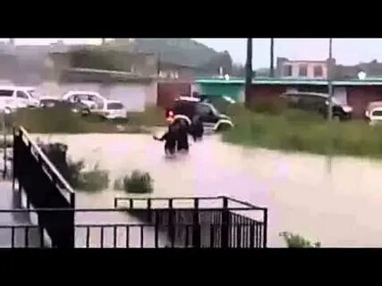 Тайфун гонит