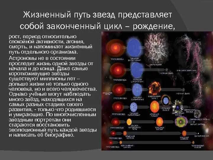 Жизненный цикл звезд протозвезда. Эволюция жизненный цикл звезд. Этапы жизненного цикла звезды. Эволюция звёзд рождение жизнь и смерть звёзд.