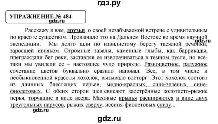 Русский язык 7 класс упражнение 484. Русский язык упражнение 484. Русский язык 8 класс упражнение 484. Сочинение упражнение 484.