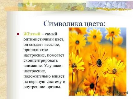 Желтый ассоциации человека