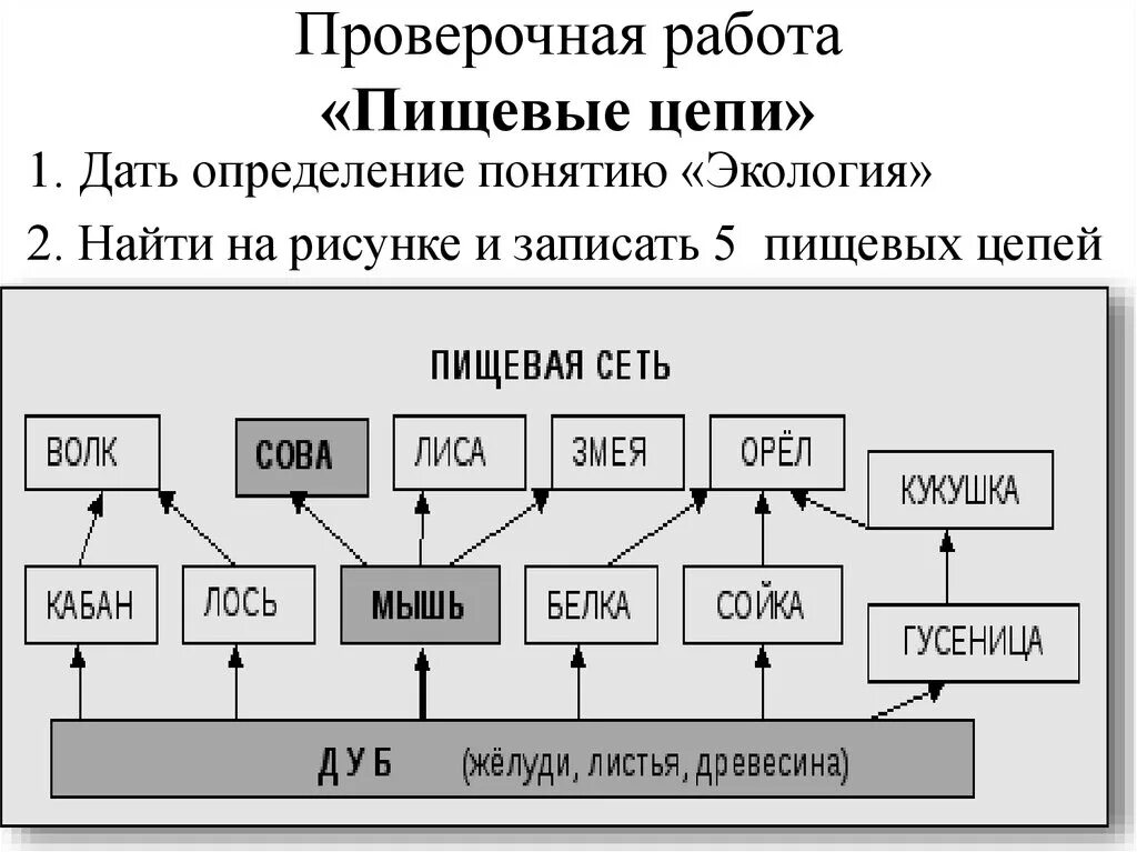 Пищевая цепь нектар муха. Пищевая цепочка. Пищевая цепь 2 класс задание. Задачи на пищевые цепи. Практическая работа пищевые цепи.