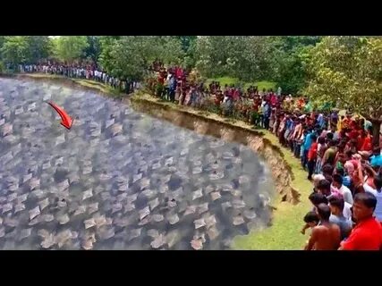 .Nature’s Marvel Unveiled: Enigmatic Ebony Fish Enthrall Onlookers in Captivating Lake Scene!..D