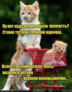 Вась возьми