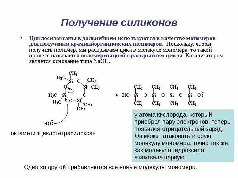 Обеспечивает расщепление полимеров до мономеров органоид