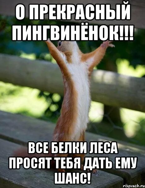 Вот он шанс. Врач мем. Людям зачем давать шанс. Шанс есть всегда. Шанс есть всегда мем.