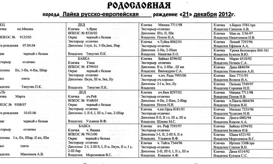 Имя для собаки лайки. Кличка для кабеля русско европейской лайки. Клички для лайки мальчика охотничьи. Клички лаек кобелей якутские. Имя для лайки мальчика.