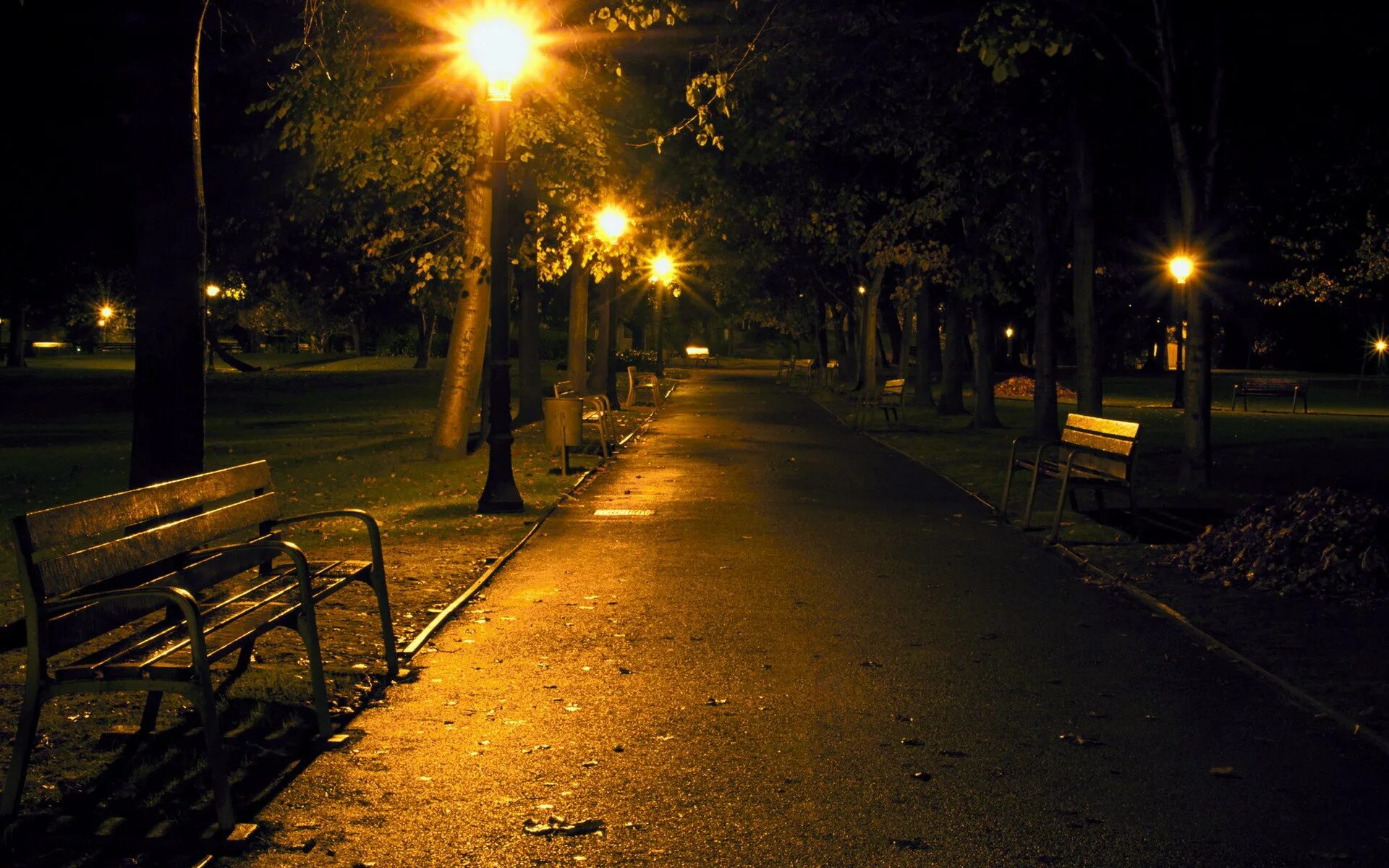 Вечером возвращаясь с прогулки. Ночной парк. Вечер в городе. Улица ночью. Вечерняя улица.
