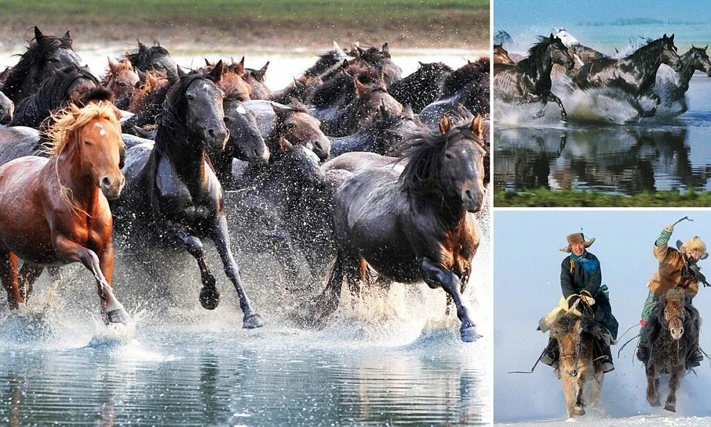 Стадо лошадей. Стадо бежит. Табун людей. Табун людей. Табун людей.